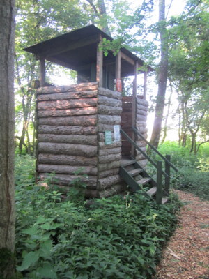 Composting toilets, woodland