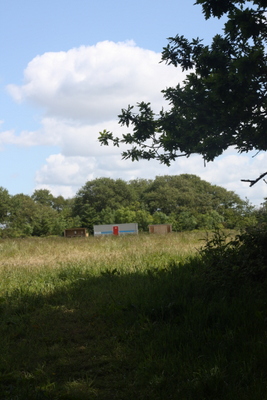 White Meadow campsite