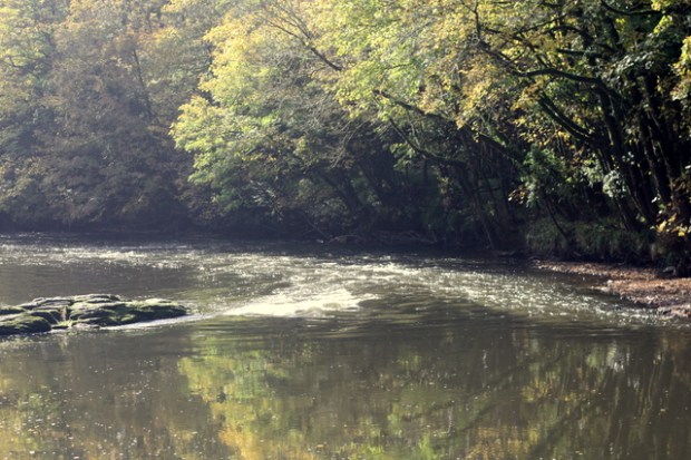 The Tamar - Hotel Endersleigh